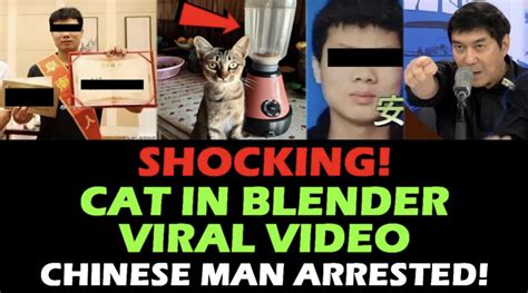 cat in a blender twitter|The Cat In Blender Video: A Disturbing Tale Of。